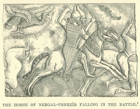 054.jpg the Horse of Nergal-ushezb Falling in The
Battle 
